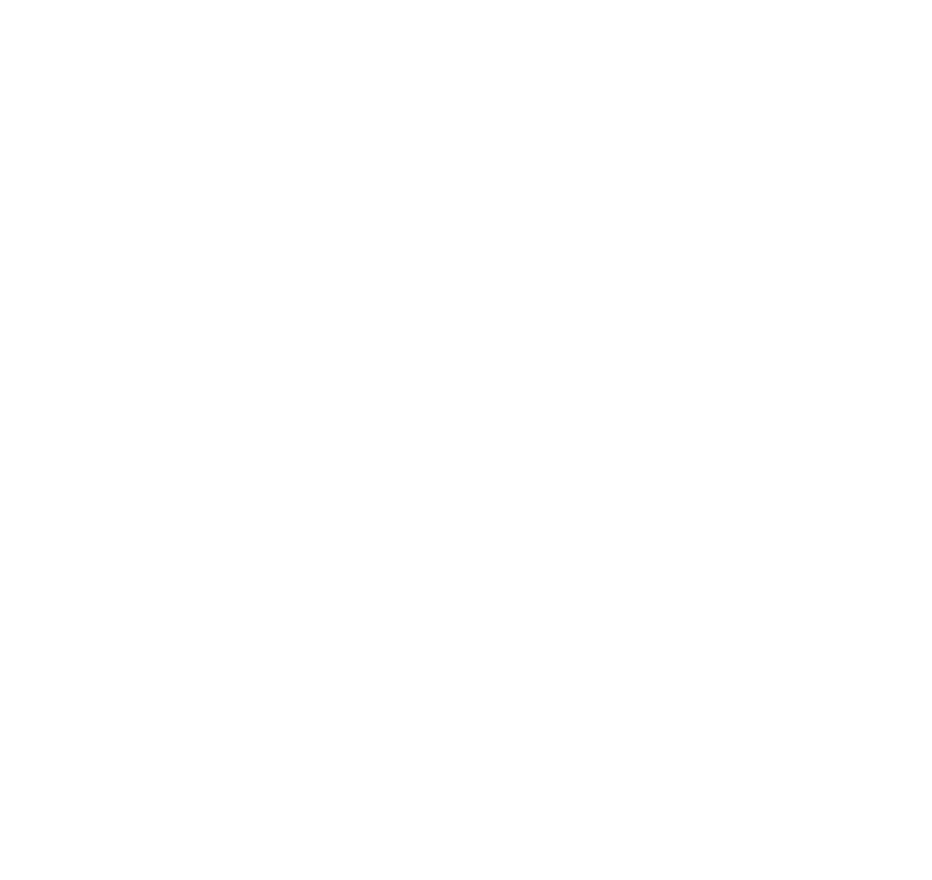 Rightly Robotics logo